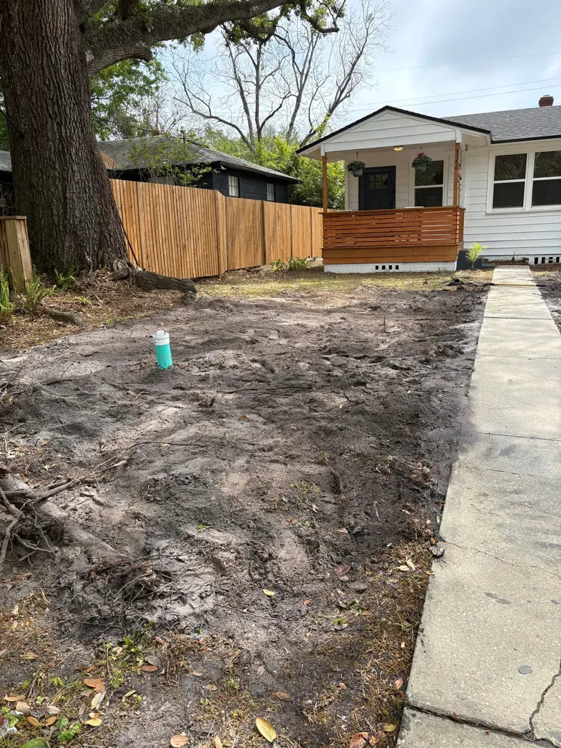 Backfilled front yard with a new capped sewer cleanout near the walkway